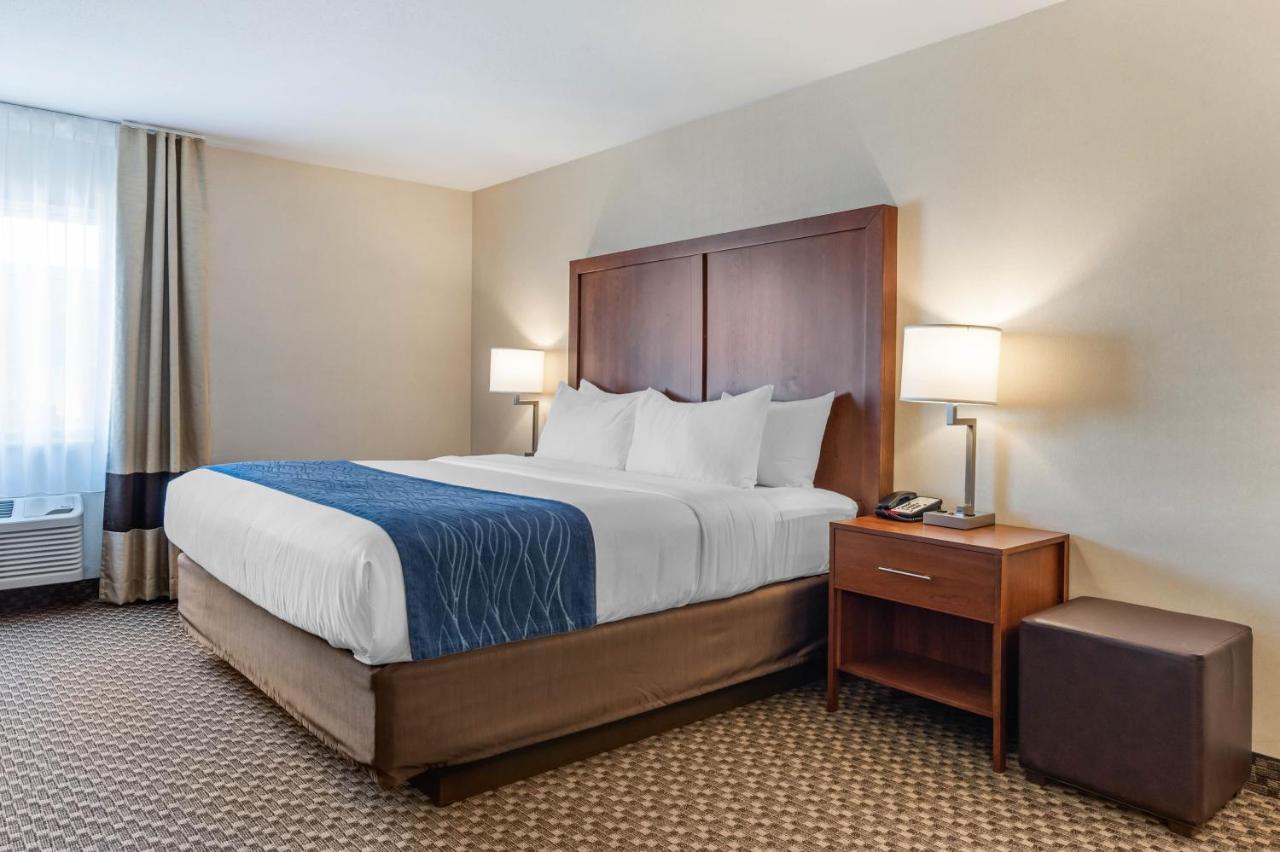 Comfort Inn & Suites Near Route 66 Award Winning Gold Hotel 2021 Lincoln Room photo